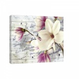 Consalnet Magnólia, vászonkép, 60x40 cm méretben