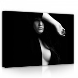 Consalnet Modell, vászonkép, 70x50 cm méretben