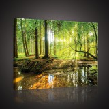 Consalnet Napos erdő patakkal, vászonkép, 60x40 cm méretben