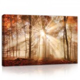 Consalnet Napos őszi erdő, vászonkép, 60x40 cm méretben