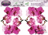 Consalnet Orchideák matrica falra, csempére, bútorra