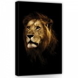 Consalnet Oroszlán, vászonkép, 40x60 cm méretben