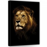 Consalnet Oroszlán, vászonkép, 50x70 cm méretben