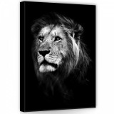 Consalnet Oroszlán, vászonkép, 50x70 cm méretben