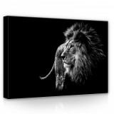 Consalnet Oroszlán, vászonkép, 70x50 cm méretben