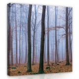 Consalnet Őszi erdő, vászonkép 80x80 cm méretben