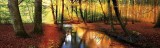 Consalnet Őszi erdő vlies poszter, fotótapéta 2018VEEXXXL /832x254 cm/