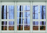 Consalnet Őszi erdőre néző ablak poszter, fotótapéta, Vlies (416 x 254 cm)