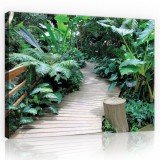 Consalnet Palló a növények közt, vászonkép, 60x40 cm méretben