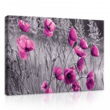 Consalnet Pipacsok, vászonkép, 70x50 cm méretben