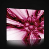 Consalnet Piros virág, vászonkép, 60x40 cm méretben