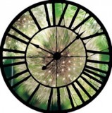 Consalnet Pitypang az óra mögött vlies poszter, fotótapéta 10221VEZ1 /208x208 cm/