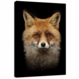 Consalnet Róka, vászonkép, 50x70 cm méretben