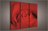 Consalnet Rózsa, 3 darabos vászonkép, 90x80 cm méretben