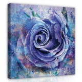 Consalnet Rózsabimbó, vászonkép, 80x80 cm méretben