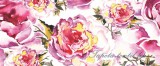 Consalnet Rózsák vlies poszter, fotótapéta 185VEP /250x104 cm/