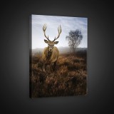 Consalnet Szarvas, vászonkép, 40x60 cm méretben