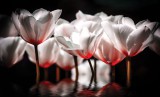 Consalnet Tulipánok poszter, fotótapéta Vlies (254 x 184 cm)