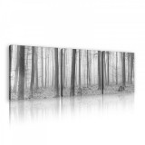 Consalnet Vászonkép 3 darabos, Erdő fekete-fehér, 3 db 25x25 cm méret