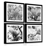 Consalnet Vászonkép 4 darabos, Magnólia fekete-fehérben 50x50 cm méretben