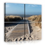 Consalnet Vászonkép 4 darabos, Út a tengerpartra 50x50 cm méretben