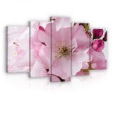 Consalnet Vászonkép 5 darabos, Almafa virág 100x60 cm méretben