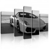 Consalnet Vászonkép, 5 darabos, Autó fekete-fehér 170x100 cm méretben