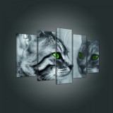 Consalnet Vászonkép 5 darabos, Cica tükörkép 100x60 cm méretben