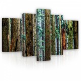 Consalnet Vászonkép, 5 darabos, Erdei fák 170x100 cm méretben