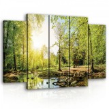 Consalnet Vászonkép, 5 darabos Erdei patak 150x100 cm méretben