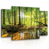 Consalnet Vászonkép, 5 darabos Erdei patak 150x100 cm méretben