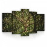 Consalnet Vászonkép 5 darabos, Erdő 100x60 cm méretben