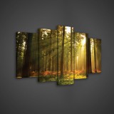 Consalnet Vászonkép 5 darabos, Erdő 100x60 cm méretben