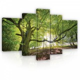 Consalnet Vászonkép, 5 darabos, Erdő 170x100 cm méretben