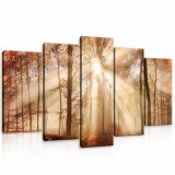 Consalnet Vászonkép 5 darabos, Erdő a beszűrődő napfényben 100x60 cm méretben