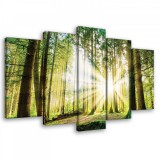 Consalnet Vászonkép 5 darabos Erdő a napsütésben 100x60 cm méretben