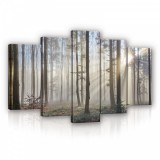 Consalnet Vászonkép 5 darabos,Erdő a tavaszi napfényben 100x60 cm méretben