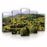 Consalnet Vászonkép 5 darabos, Erdők mezők 100x60 cm méretben