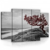 Consalnet Vászonkép, 5 darabos Fa a sziklán 150x100 cm méretben