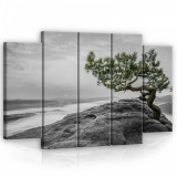 Consalnet Vászonkép, 5 darabos Fa a sziklán 150x100 cm méretben