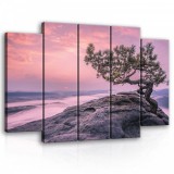 Consalnet Vászonkép, 5 darabos Fa a sziklán 150x100 cm méretben