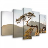 Consalnet Vászonkép 5 darabos, hegyek 00x60 cm méretben