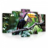 Consalnet Vászonkép 5 darabos, Kakadu 100x60 cm méretben