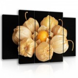 Consalnet Vászonkép, 5 darabos Lampionvirág 150x100 cm méretben