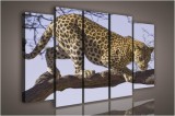 Consalnet Vászonkép, 5 darabos Leopárd a fán 150x100 cm méretben