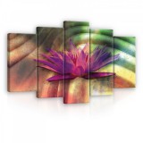 Consalnet Vászonkép 5 darabos, Lila virág 100x60 cm méretben