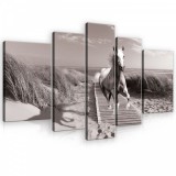 Consalnet Vászonkép, 5 darabos, Ló a parton 170x100 cm méretben