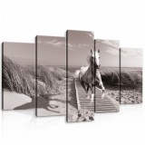 Consalnet Vászonkép 5 darabos, Ló a tengerparti mólón 100x60 cm méretben