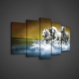 Consalnet Vászonkép 5 darabos, Lovak a tengerparton 100x60 cm méretben