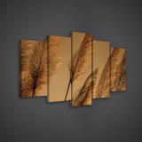 Consalnet Vászonkép 5 darabos, nád virág 100x60 cm méretben